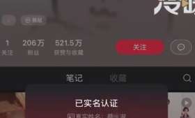 抖音红利,揭秘如何通过拍抖音赚钱 抖音红利,揭秘如何通过拍抖音赚钱